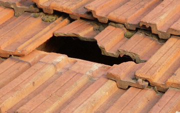 roof repair Sisland, Norfolk